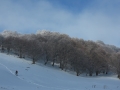 Beauregard - Montagne du Conest 027