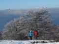 Beauregard - Montagne du Conest 041