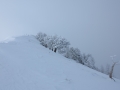 Bobosses 0029.JPG