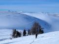 Au second plan les pentes très arrondies du Mont de Rousse