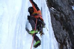 La fête aux biscottos commence !