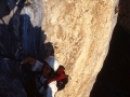 15293 - Chysanthèmes- Grotte - Prelses - Février 2002