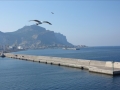 L'arrivée au port de Palerme