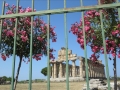 Visite du splendide site archéologique de Paestum tout à coté du camping