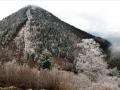 La Montagne de Roussillon