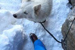 Un adorable toutou ibère au pied de la cascade !