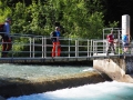 A la prise d'eau du Canal du Beaumont