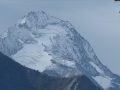 La Muzelle sous les premières neiges