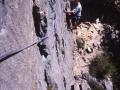 12285 - Les Clématites à Freissinières - Ecrins - Août 1998