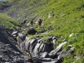 Le Ruisseau de l'Argentière presque à sec