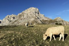 L'Obiou depuis le col des Faïsses