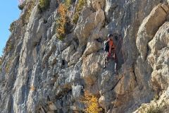 Nos voisins dans "Fleur de Lotus"