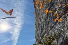 Steve dans le dernier des rappels du Grand Jardin