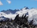 Pic de la Grave et glacier du Mont de Lans