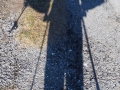 Auto-portrait