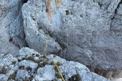 Le franchissement de la faille entre la Tour du Taureau et le Mont-Aiguille !