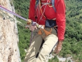 Rappels dans Chrysanthèmes