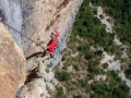 Rappels dans Chrysanthèmes