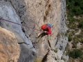 Rappels dans Chrysanthèmes