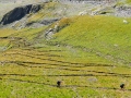 Lacets sous le Col du Vallon