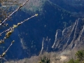 Le haut de l'arête du Trident vue de la route de Ponsonnas