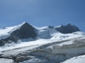 0055_Bishorn