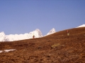 07372 - Aiguille de l'Epaisseur