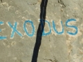 Exodus 004
