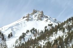 Le sommet de l'Arpelin depuis la piste forestère des Oules