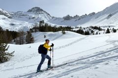 A la sortie du Bois des Oules