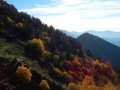 DSCN6406