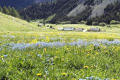 L'Alpe du Lauzet